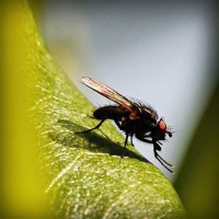 /album/femeile-stiu-de-ce/photolia-a04-jpg/