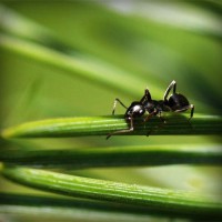 /album/femeile-stiu-de-ce/photolia-a05-jpg/