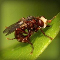 /album/femeile-stiu-de-ce/photolia-a06-jpg/