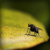 /album/femeile-stiu-de-ce/photolia-a07-jpg/