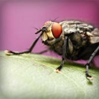 /album/femeile-stiu-de-ce/photolia-a08-jpg/